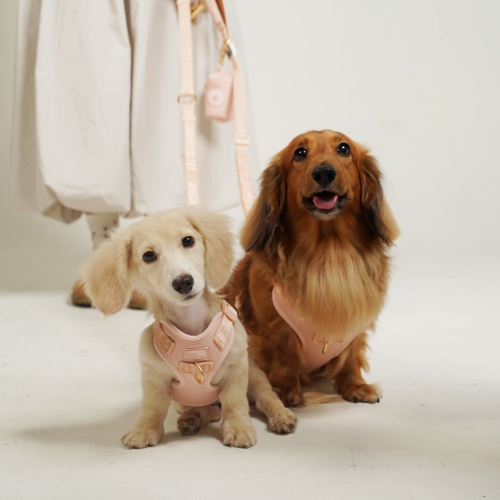 「調整_影像_大小」專_案 (1)拷貝