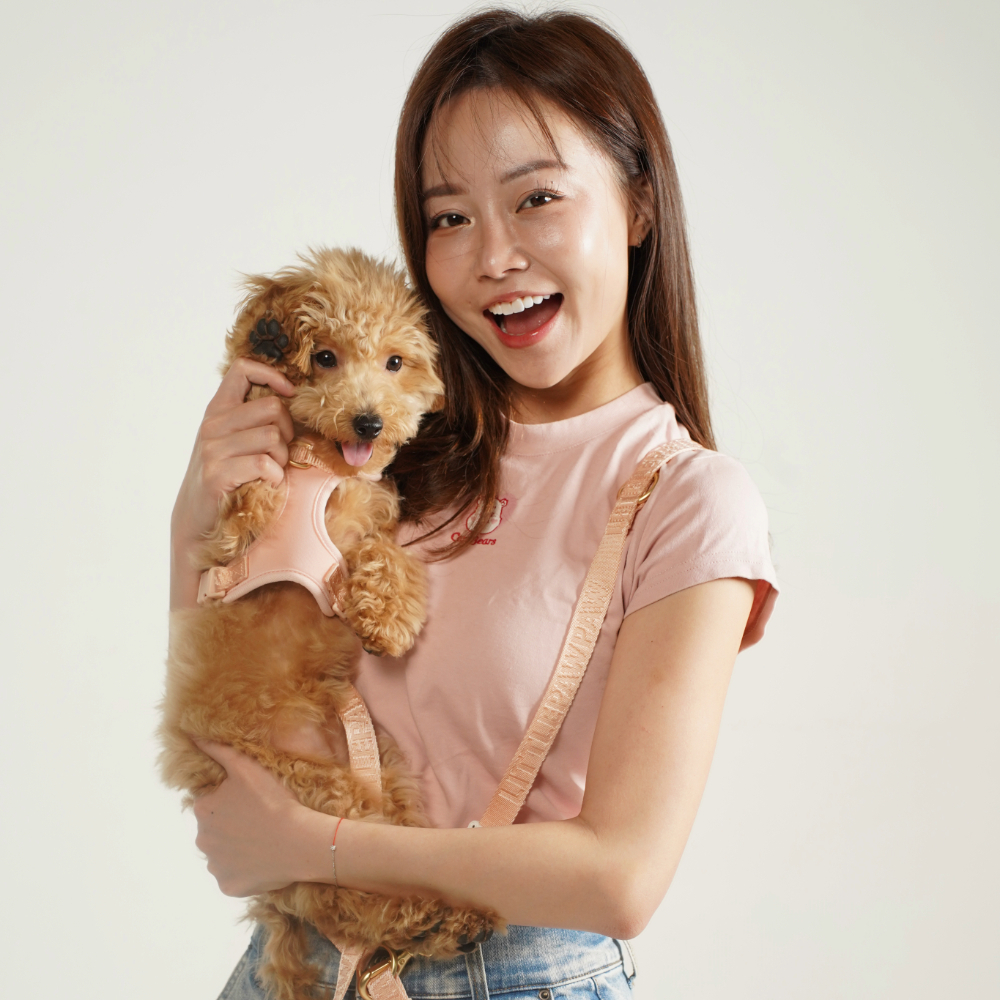 Adobe Express - file (5)