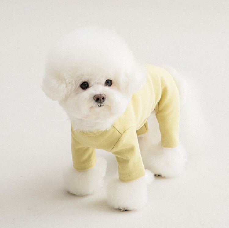 9e1a363cf5dc2559c34ea0dc0d078018