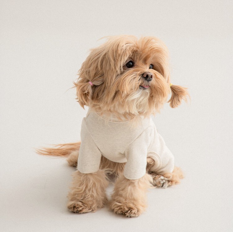 4839f98cf5c92331bf5dd03e7c07d38f