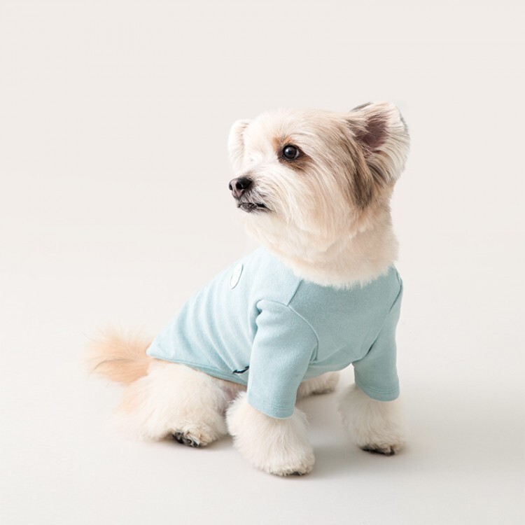 4c387211b6868acc8adc07463c053018