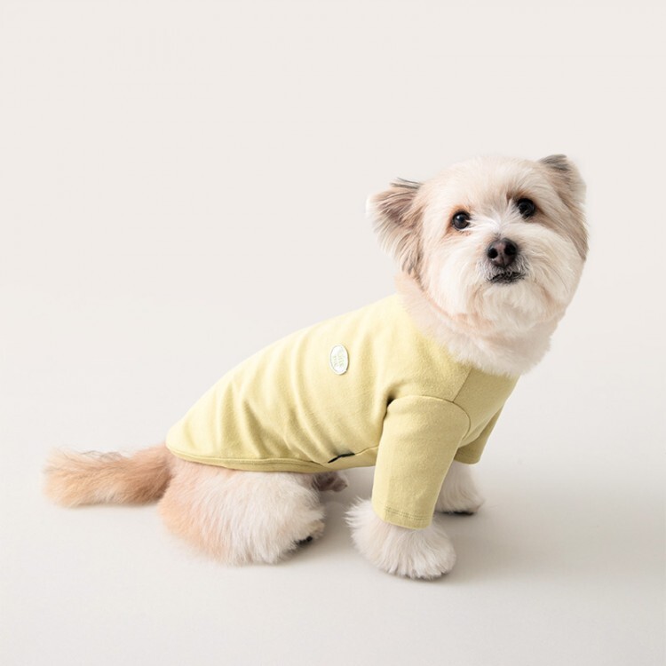 ca463b8cbb183ed655c2e98bd102a9ae