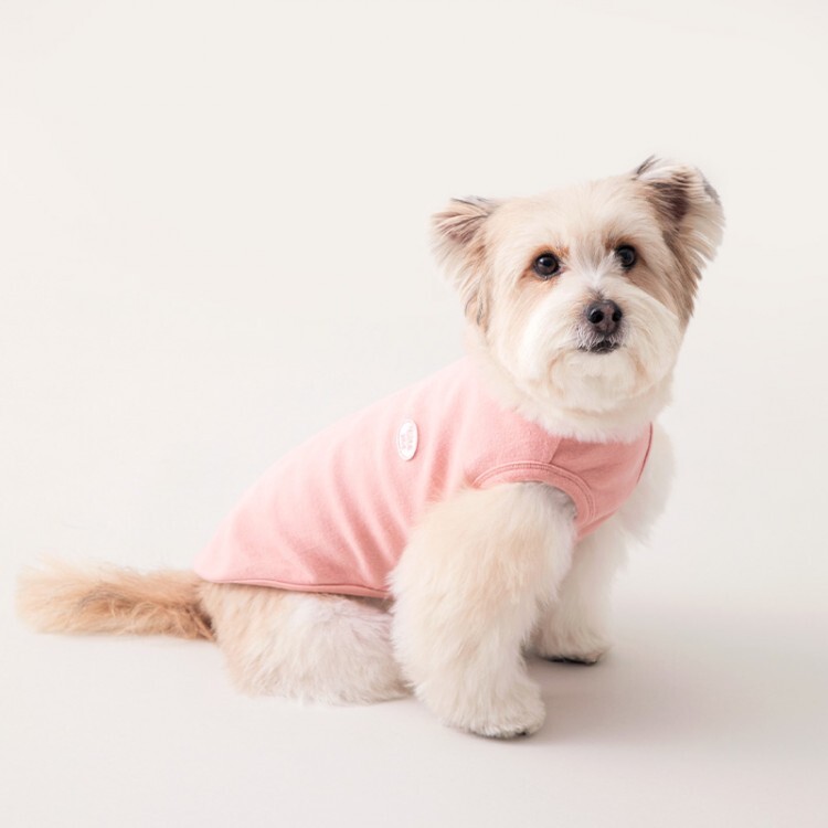 d3bb4b3e07526b49133c9069e98780a0