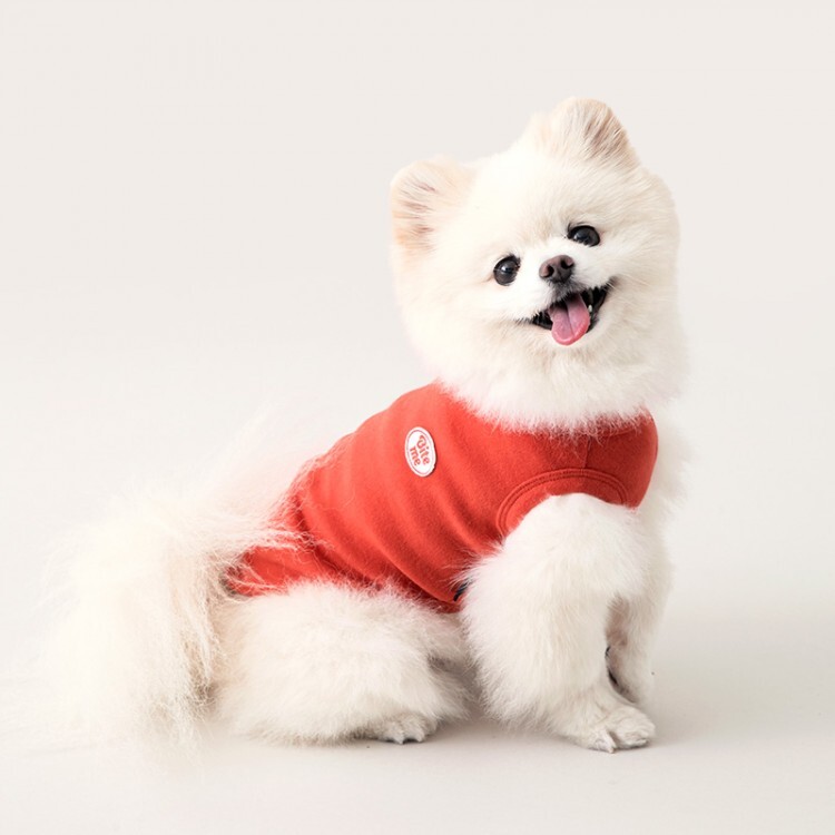 bac645022704477f17c483f1d0ec1689