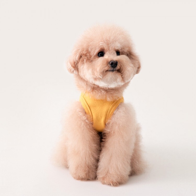 82d9991406d7fc8c80d78e89ab582b81