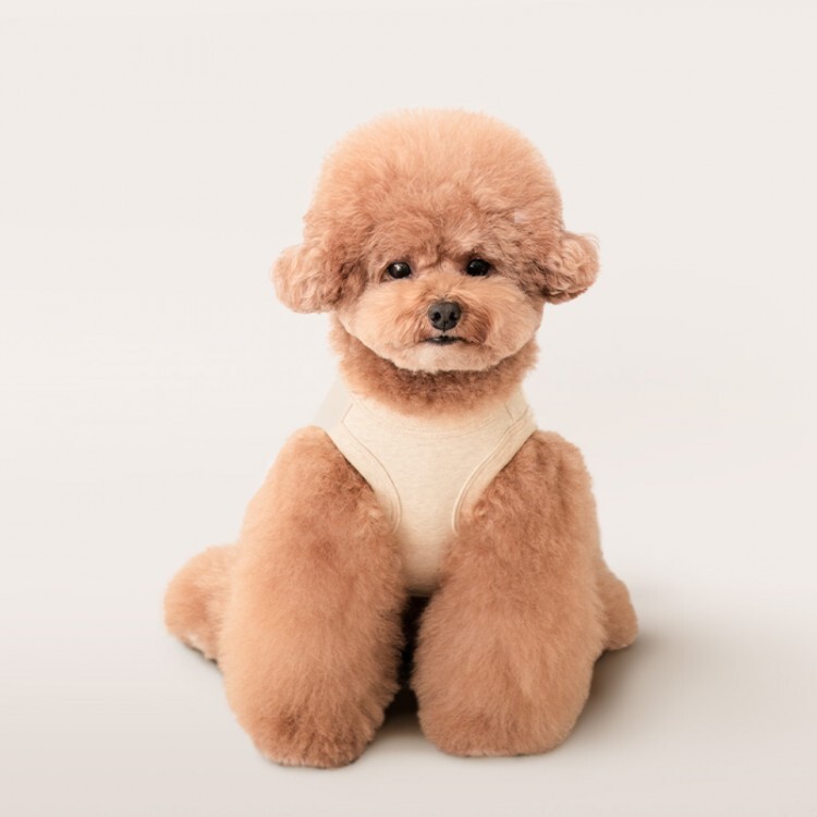 180d0e9e41ffa3052190565a2d37f5b9