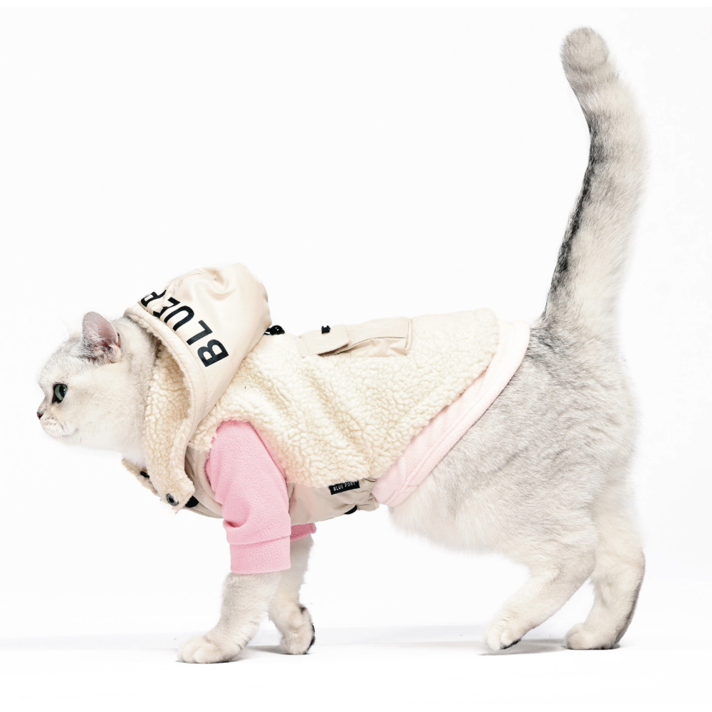 Adobe Express - file拷貝2