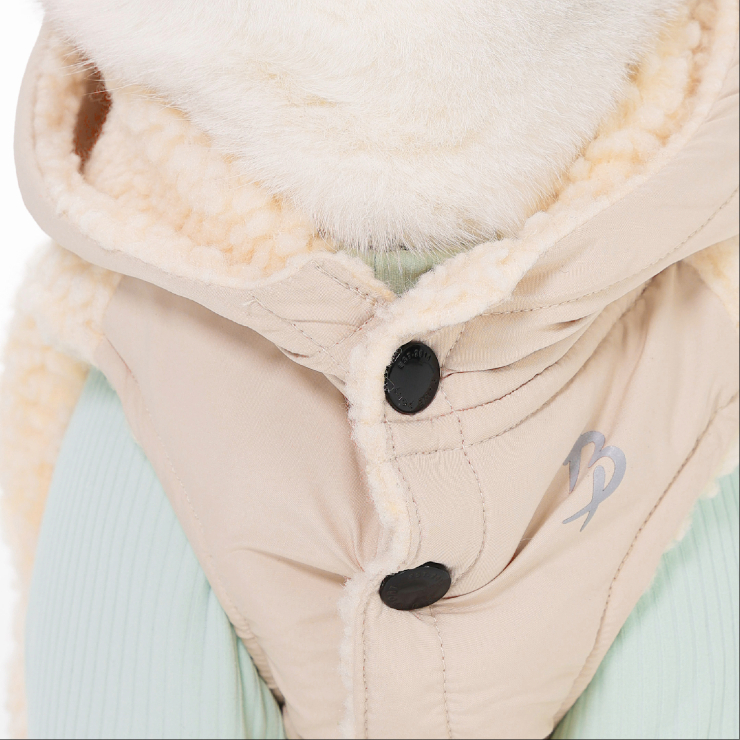 Adobe Express - file