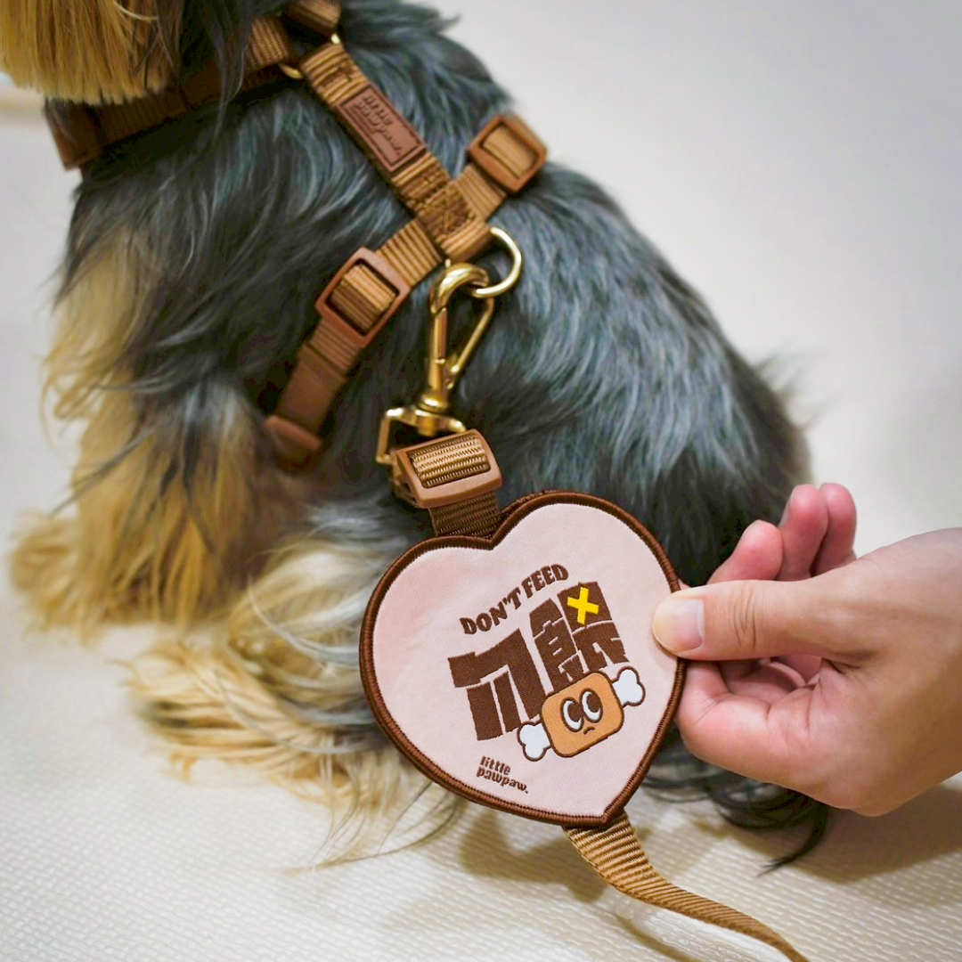 「調整影像大小」專案-9