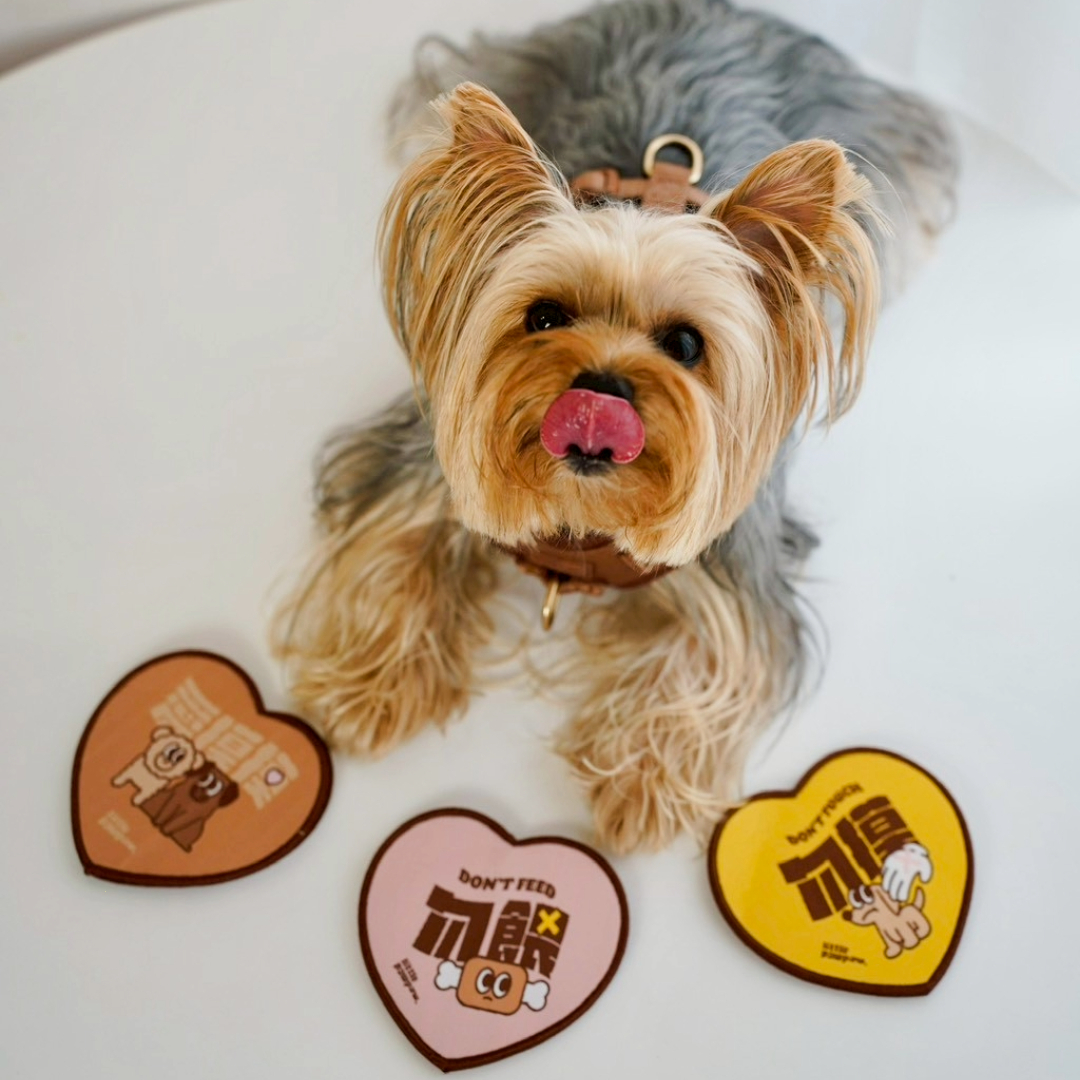 「調整影像大小」專案-7