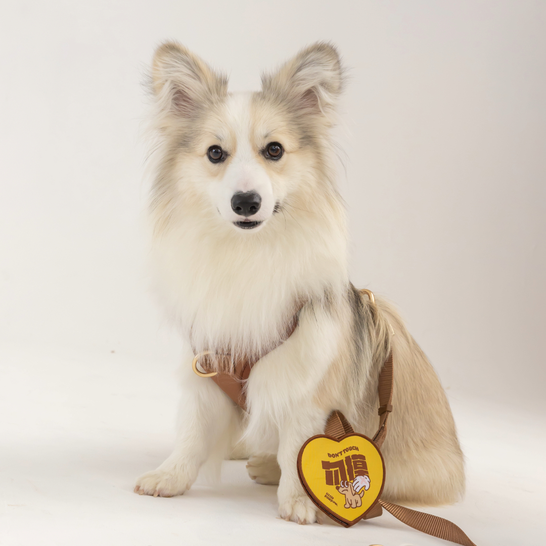 Adobe Express - file (1)