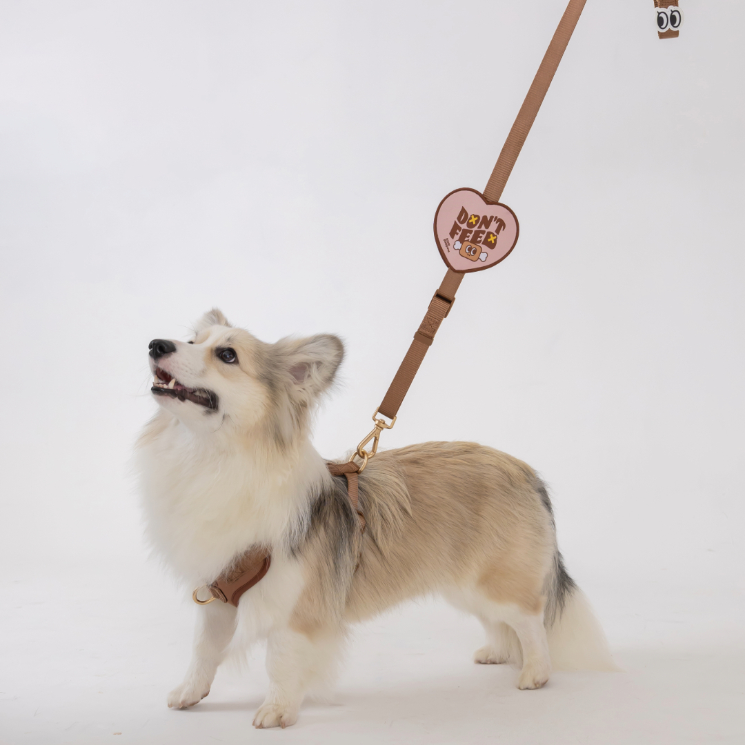 Adobe Express - file (5)