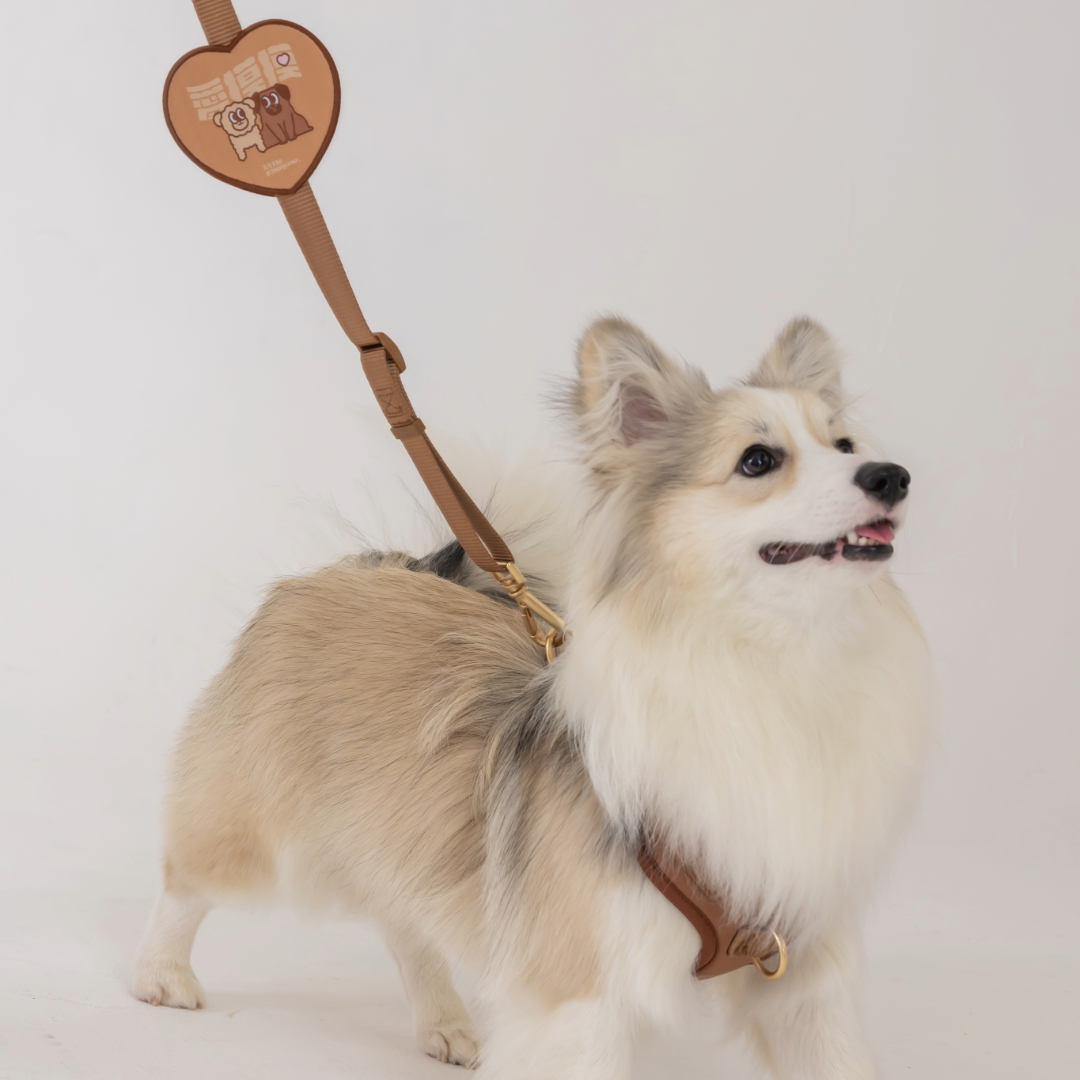 Adobe Express - file (3)