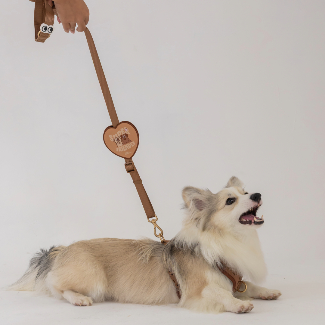 Adobe Express - file (4)