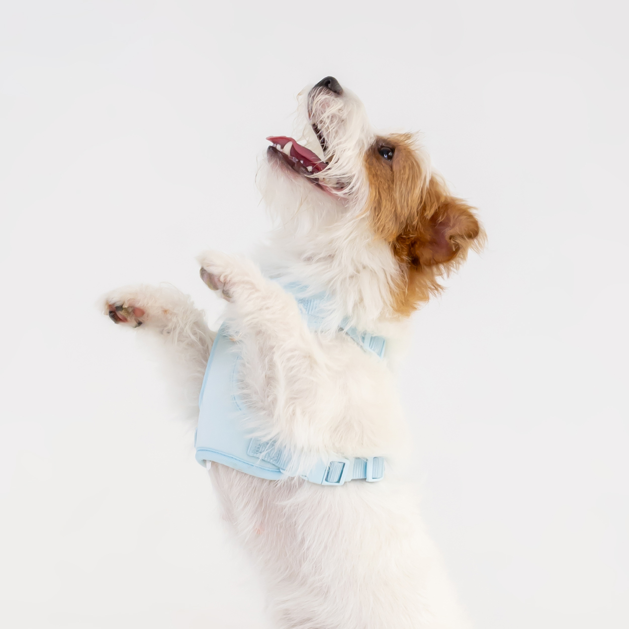 商品圖-太空-ble_產品圖-ble-05