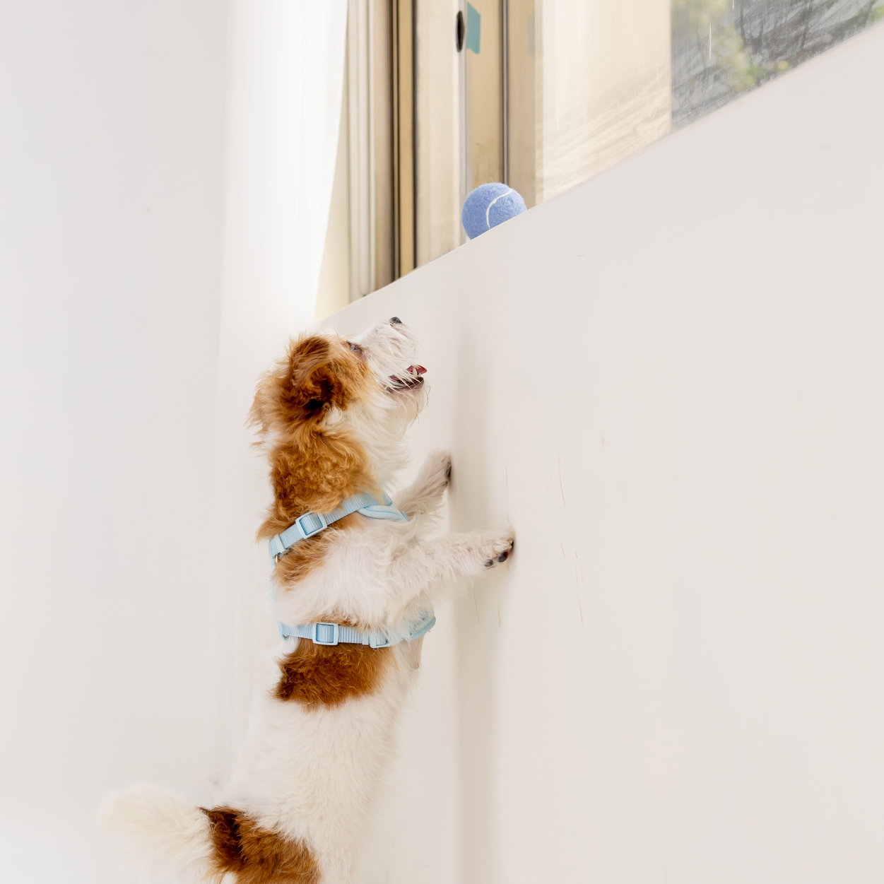 商品圖-太空-ble_產品圖-ble-07