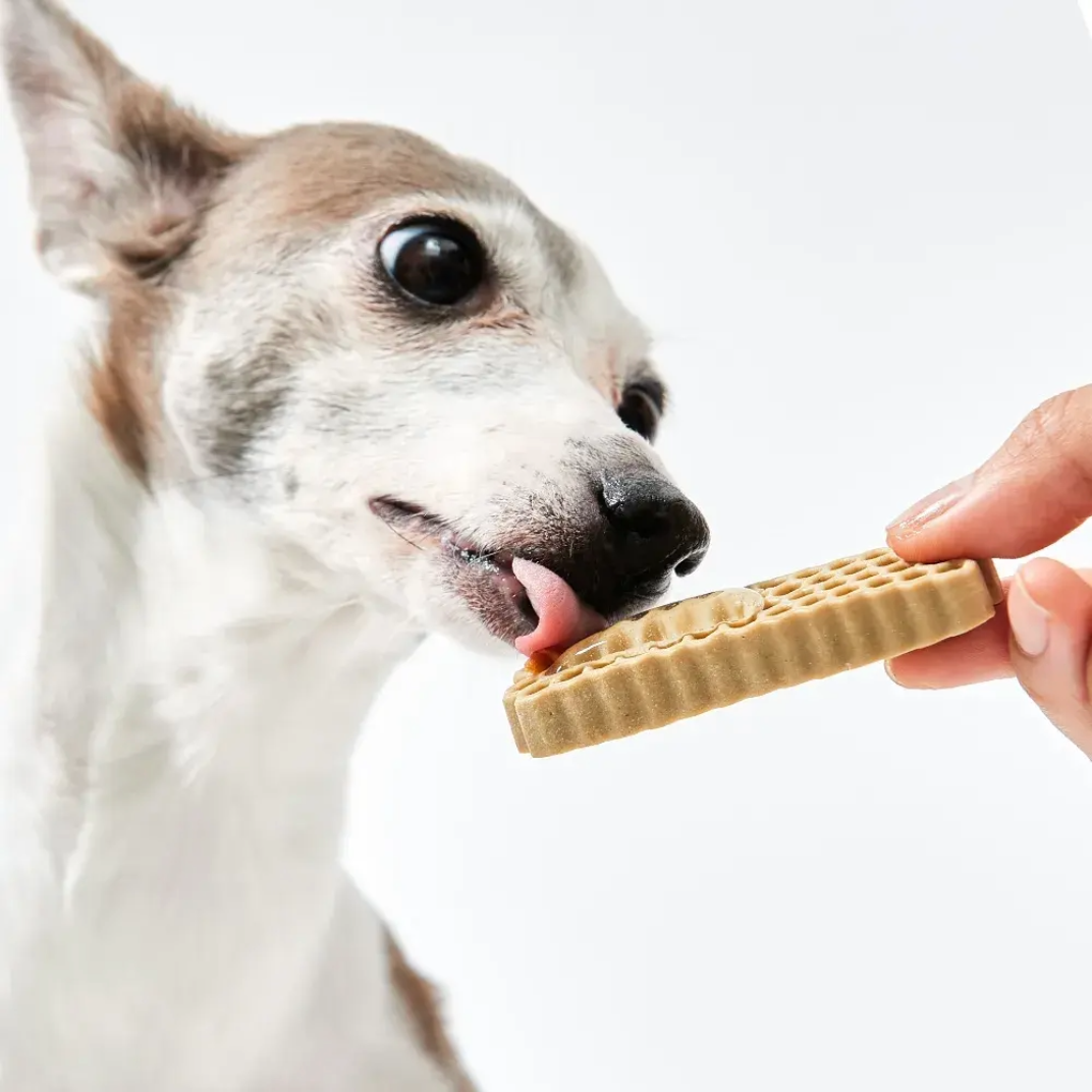 ByePlaque•蜂凝牙膏 ⛤ 15g_商品圖05