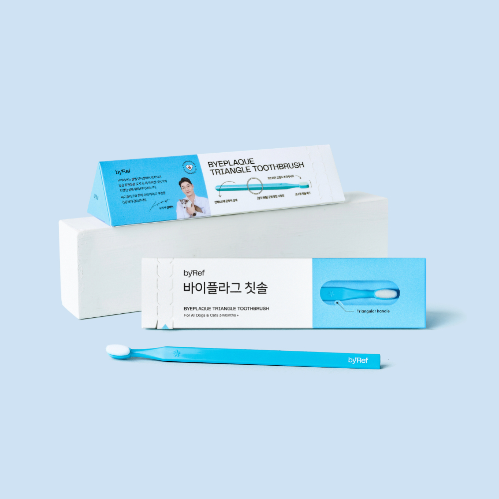 Adobe Express - file