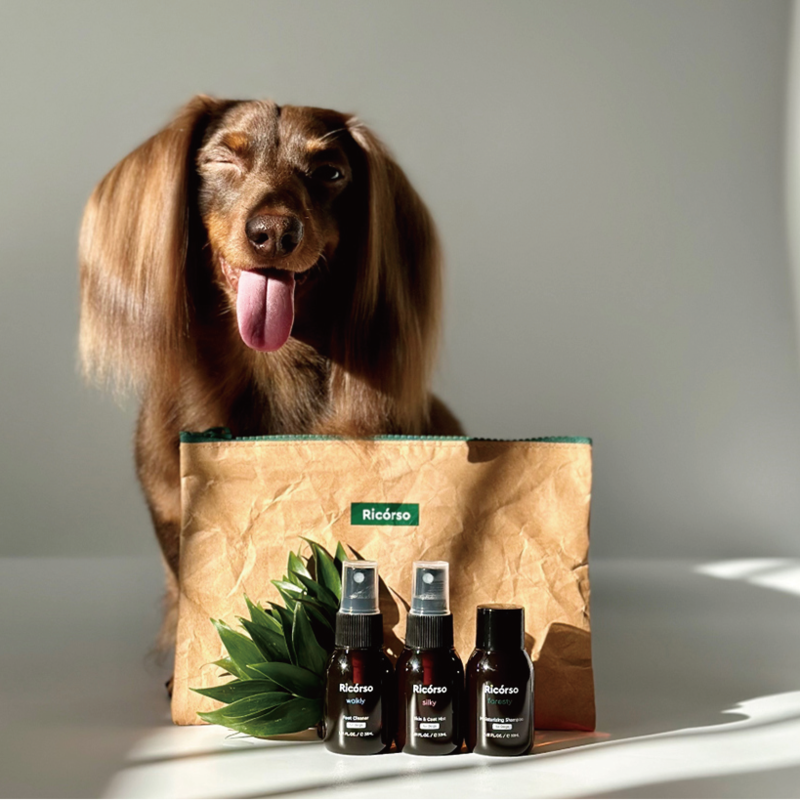 result_Ricorso_Eco_09 介紹4