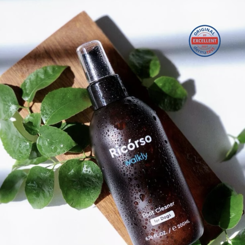 result_截圖 2026-02-07 下午2.50.51