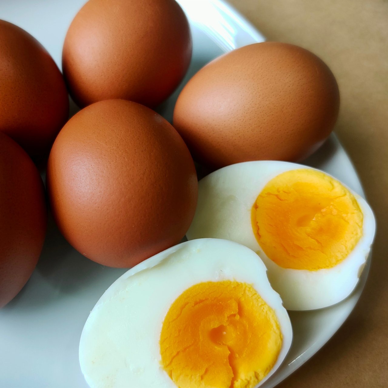 image_4811036825559040316