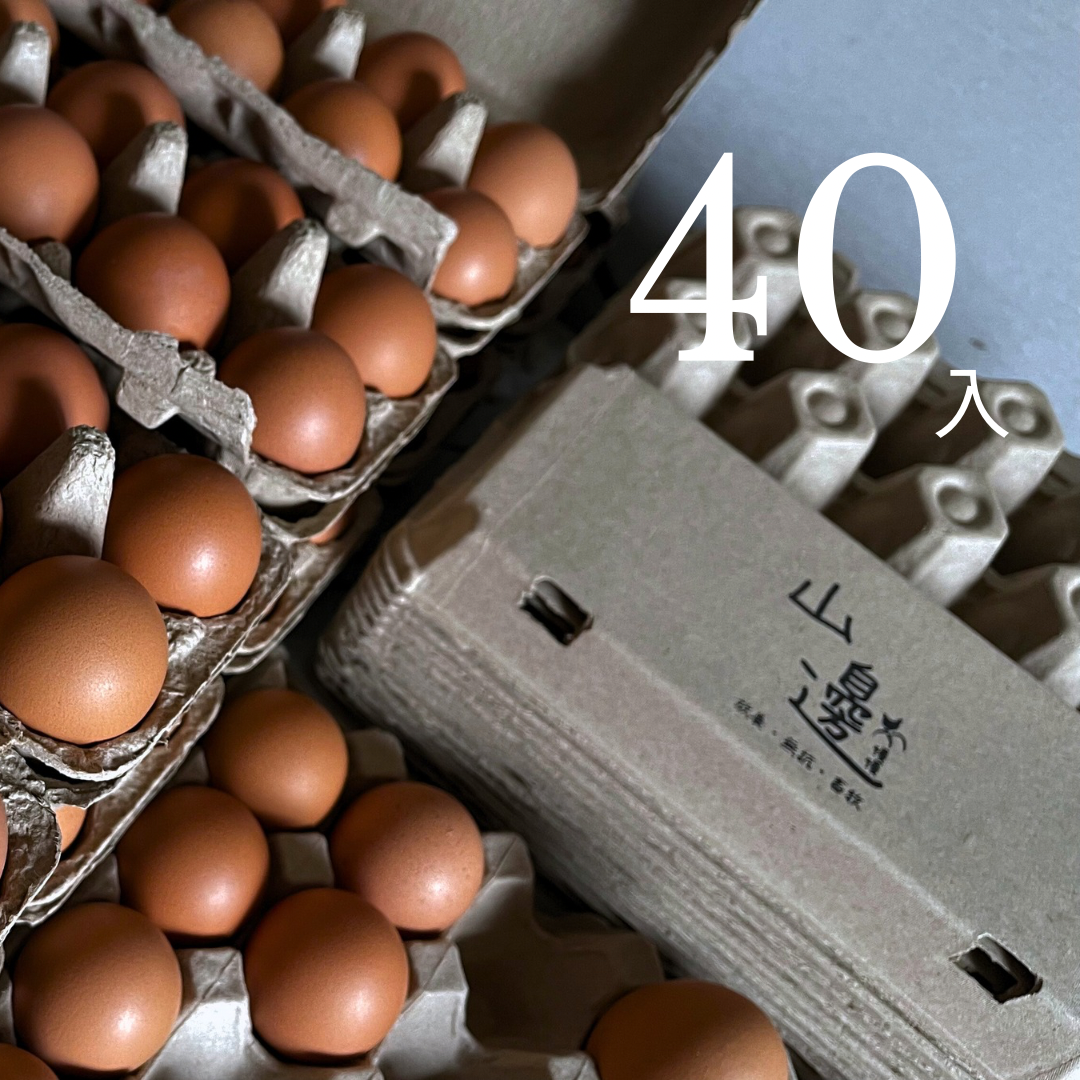 image_22A3C397-3C40-4F1B-AC63-F493DA5A4673_1764686721