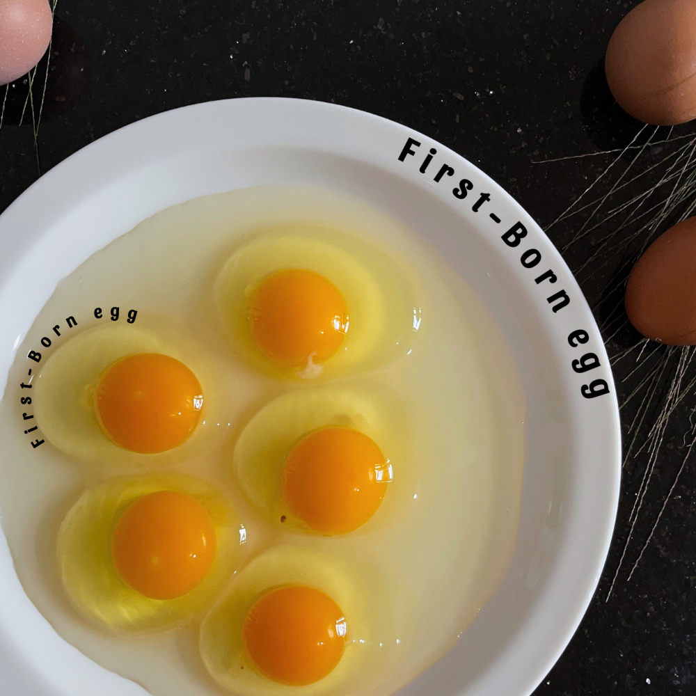 FirstBorn egg