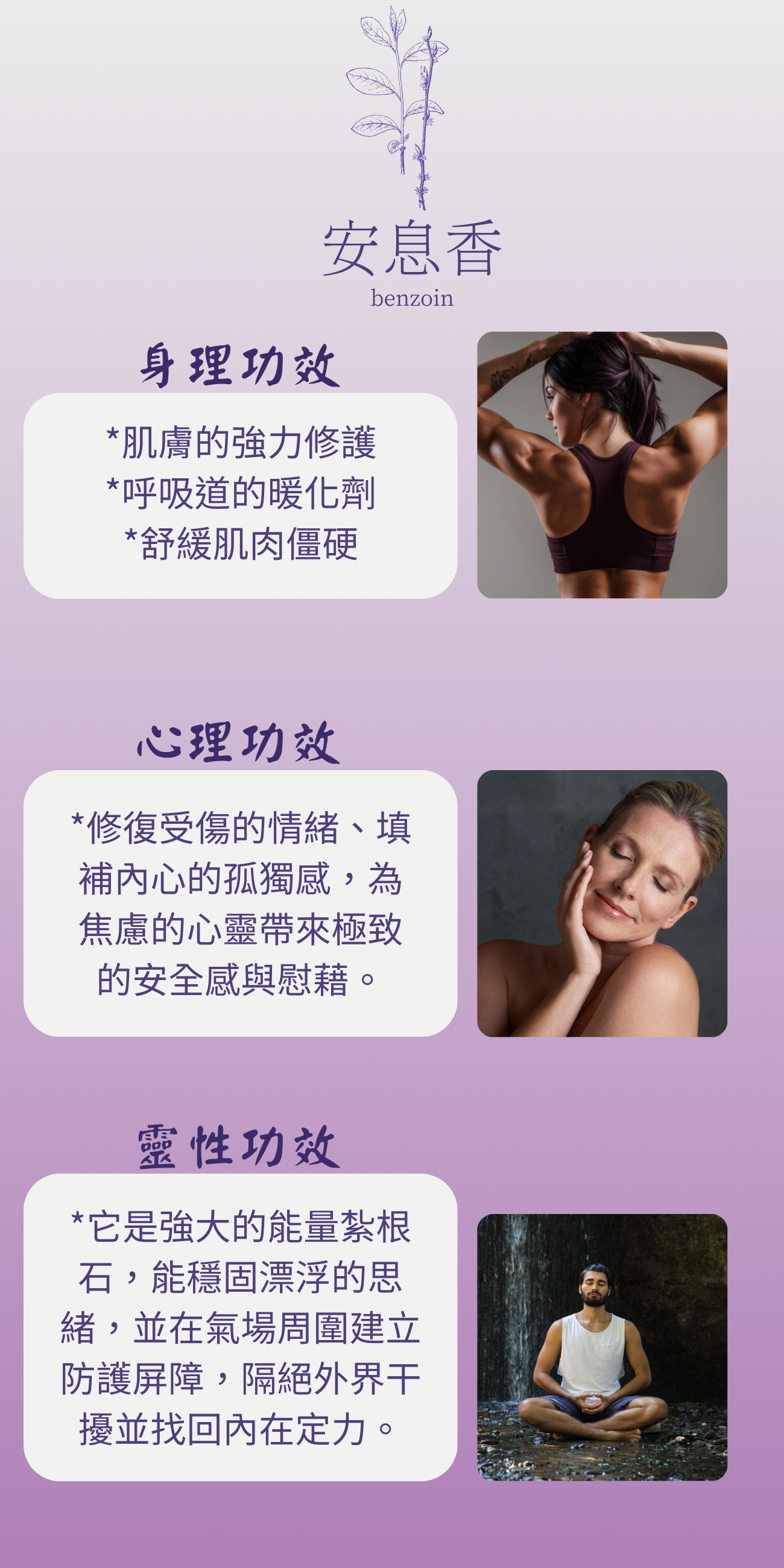 綠野心田單方身心靈網站圖 (1)