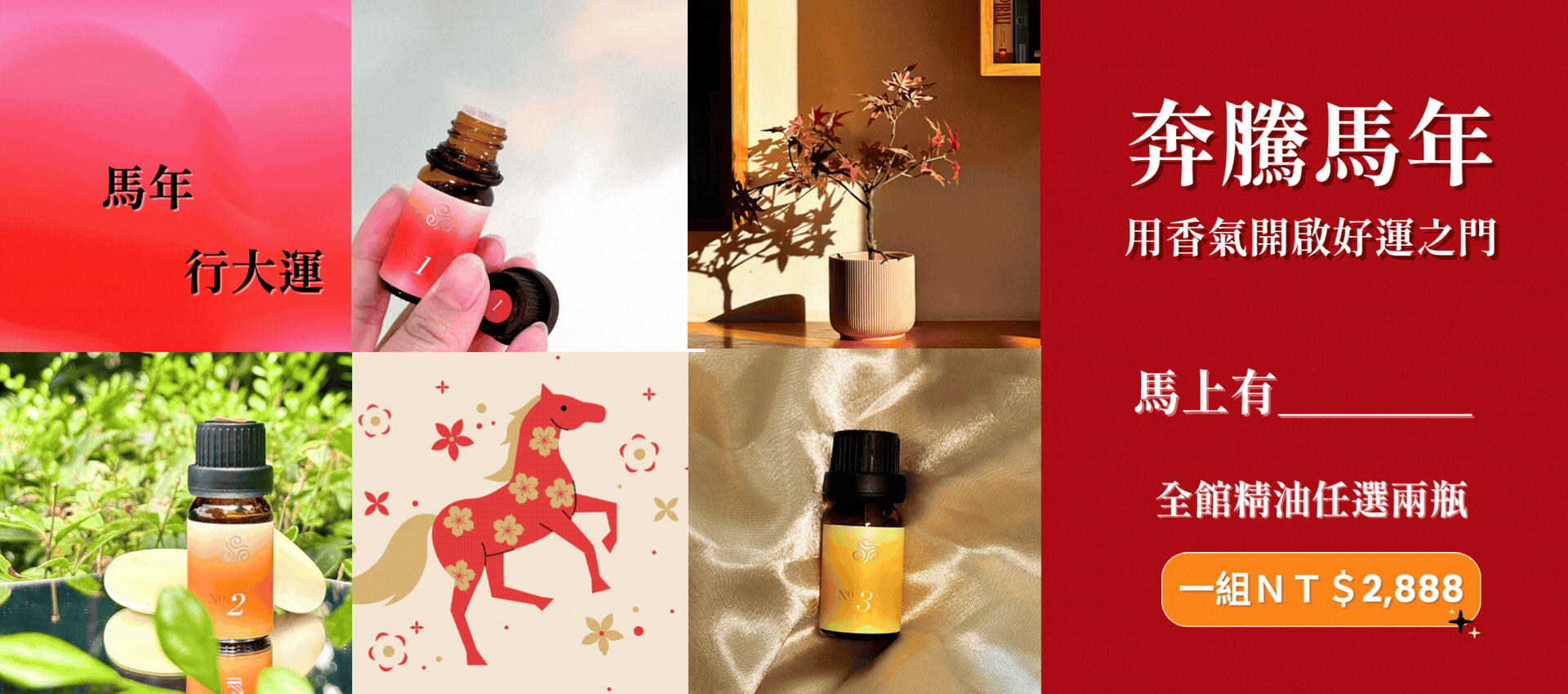  | 綠色沙河生活療癒館