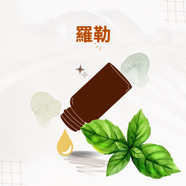 羅勒