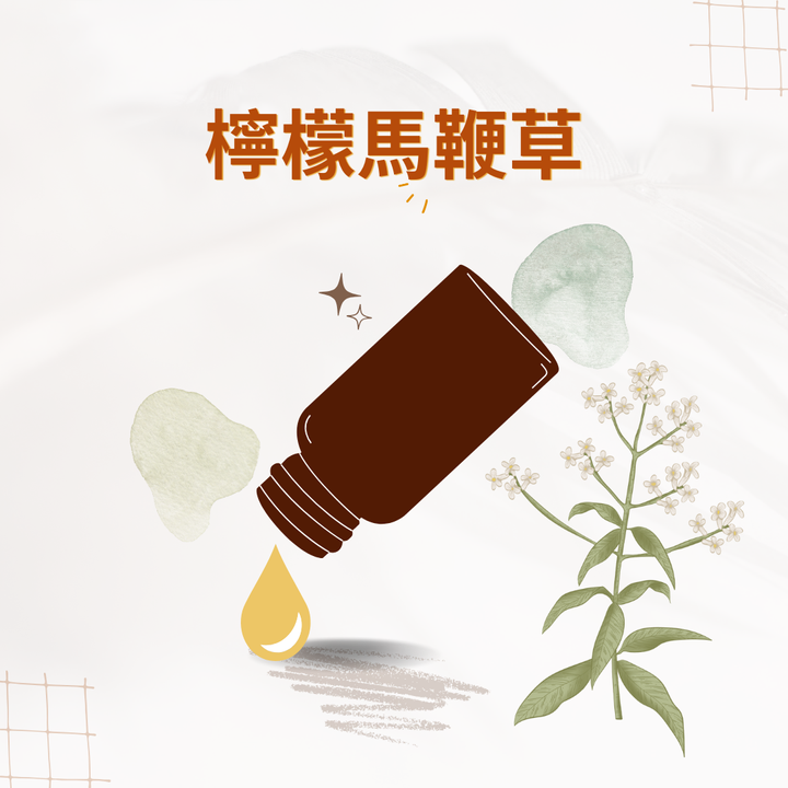 檸檬馬鞭草
