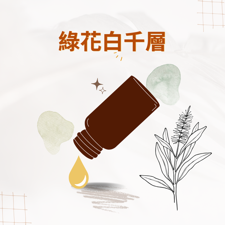 綠花白千層