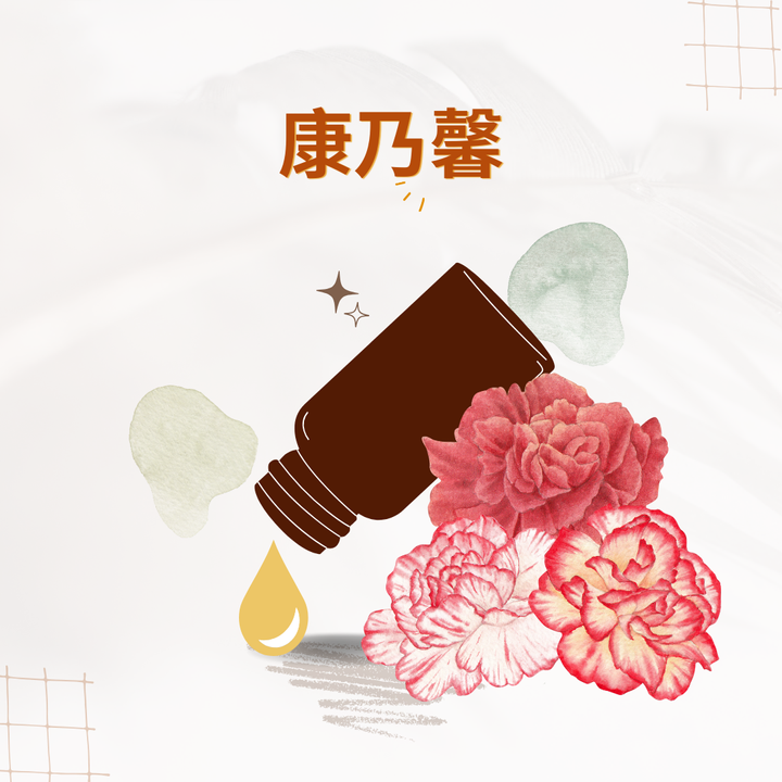 康乃馨