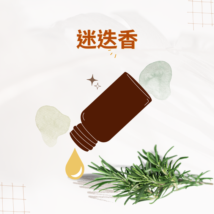 迷迭香