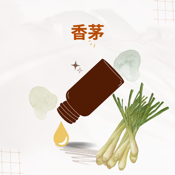 香茅