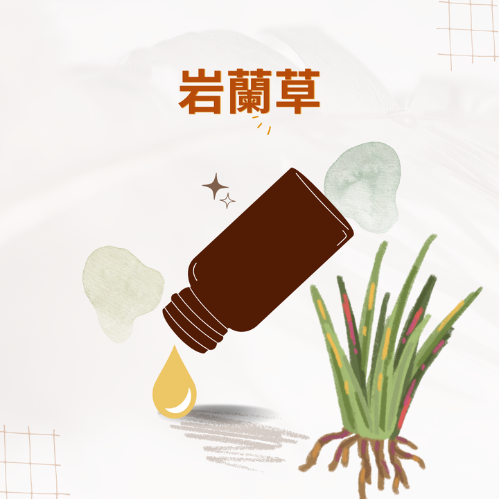 岩蘭草