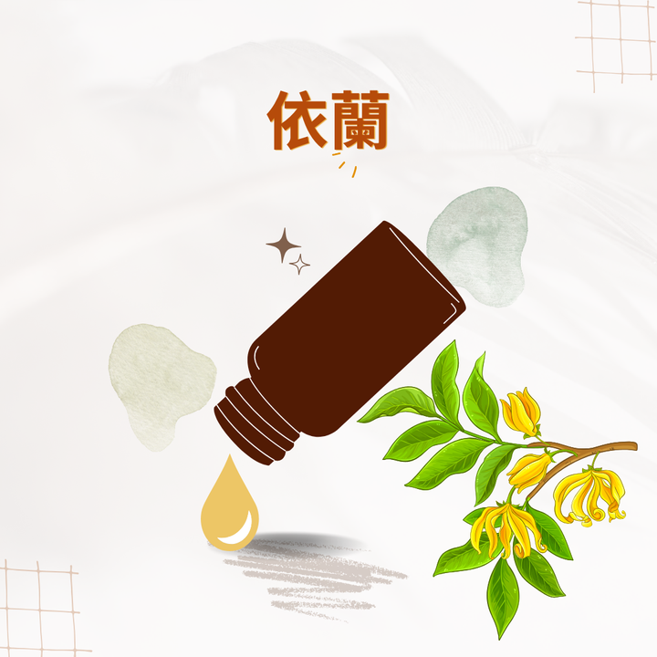 依蘭