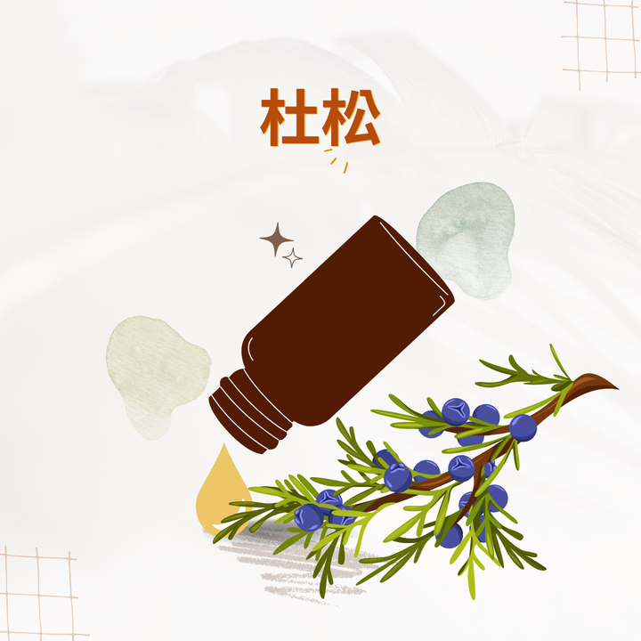杜松