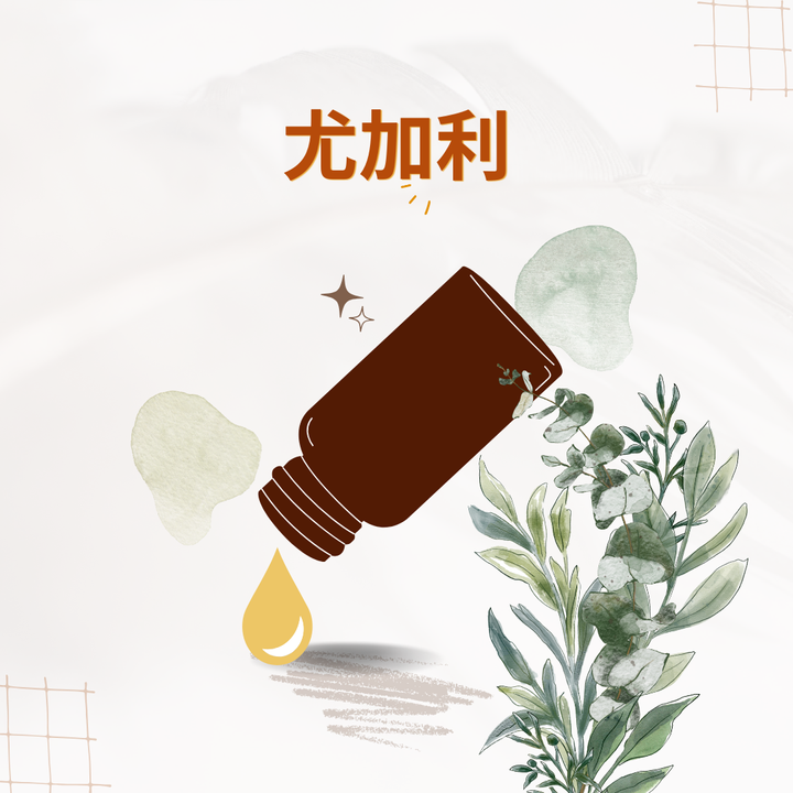 尤加利