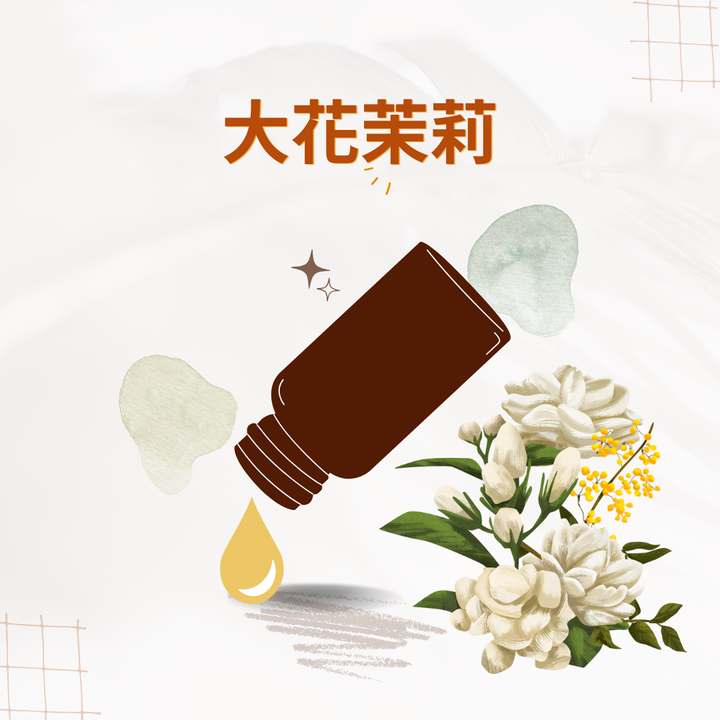 大花茉莉