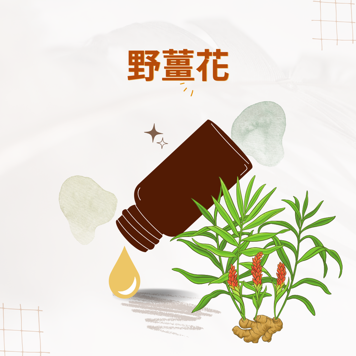 野薑花
