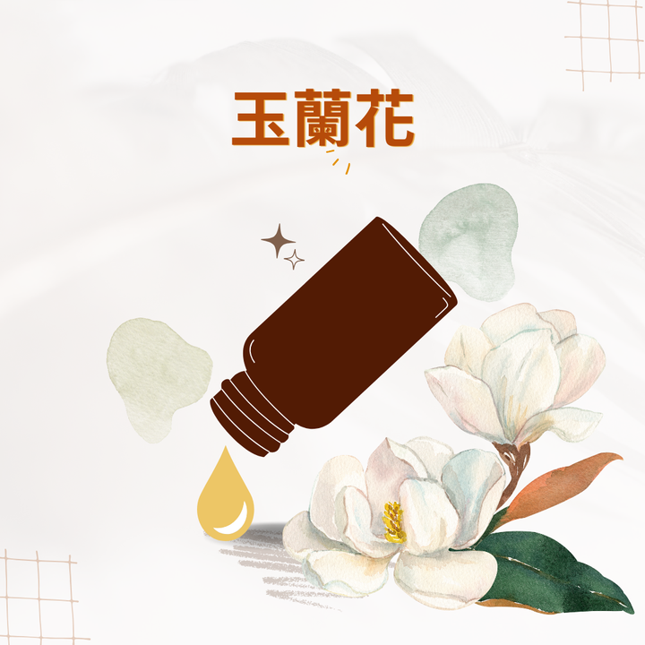 玉蘭花