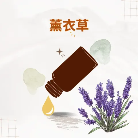 薰衣草