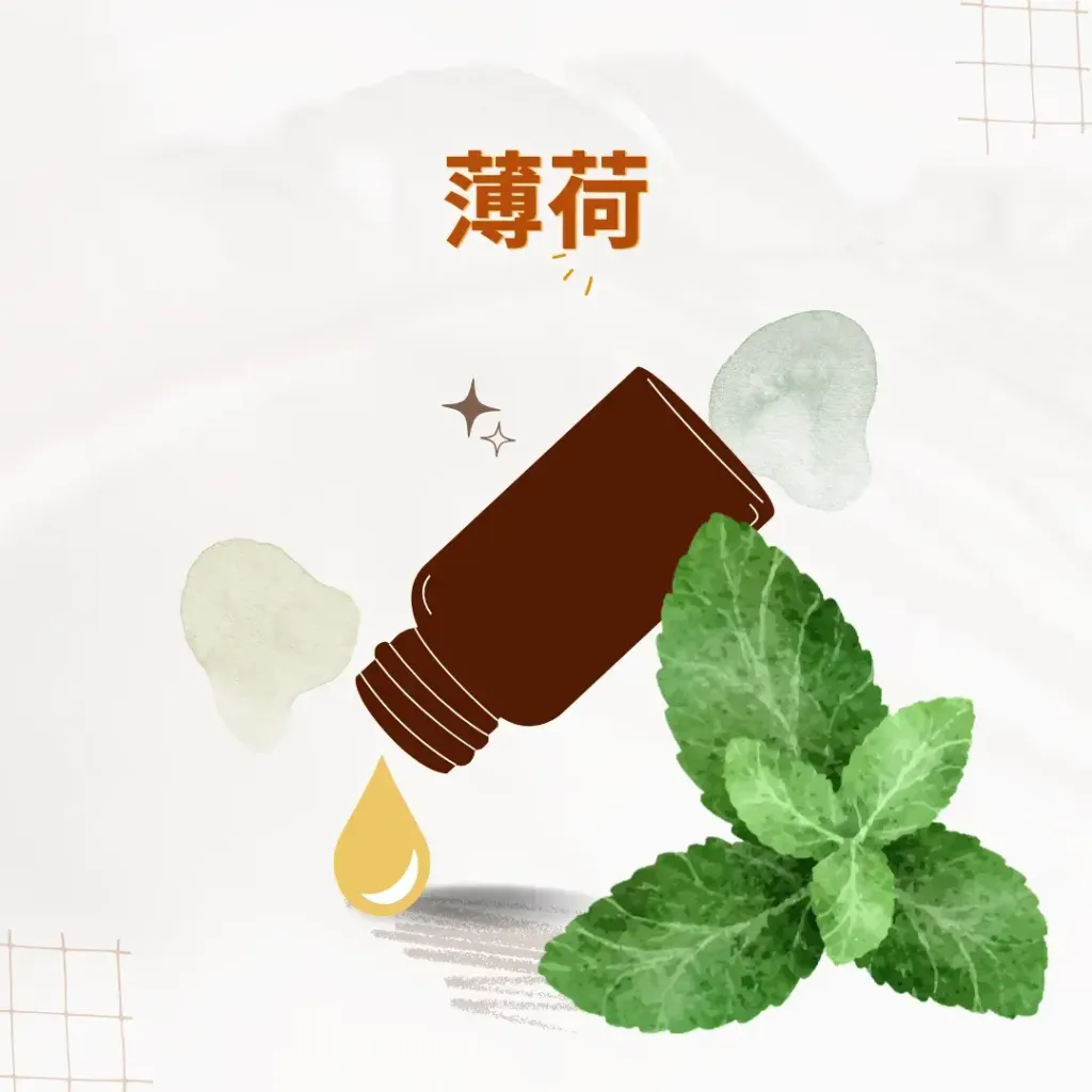 薄荷