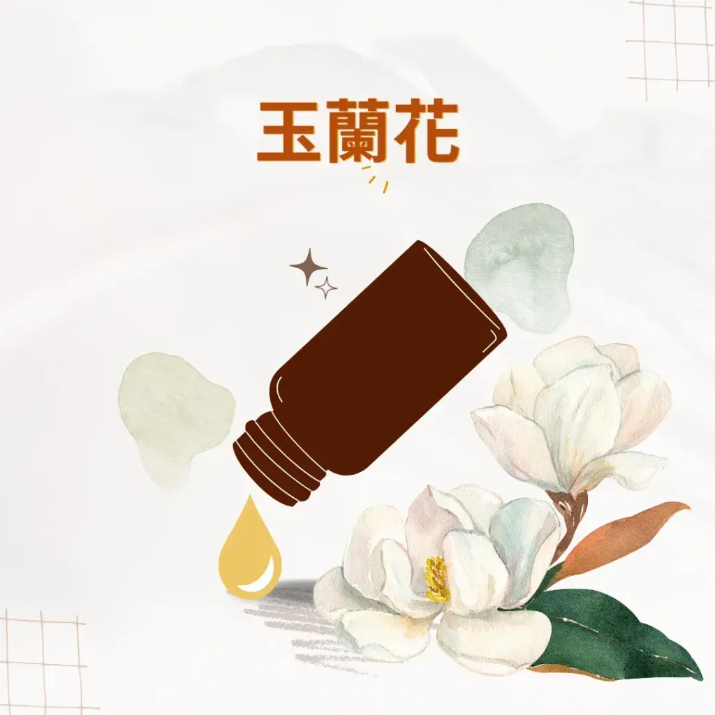 玉蘭花