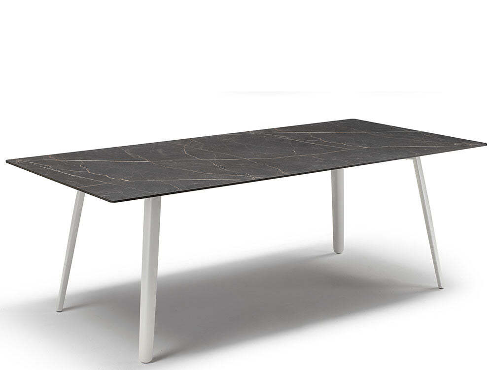 Squid-Table-7_1800x1800
