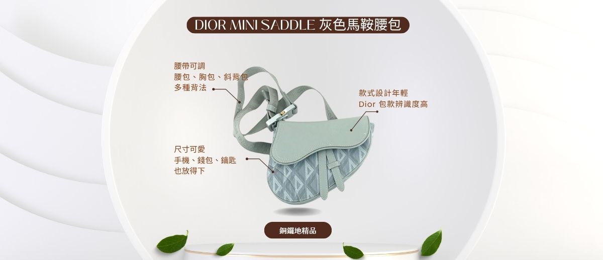 【Dior Mini Saddle 灰色馬鞍腰包】輕巧、帥氣又經典!高雄哪裡買?實測實背給您看!!