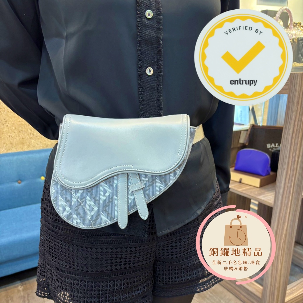 Dior Mini Saddle_W3