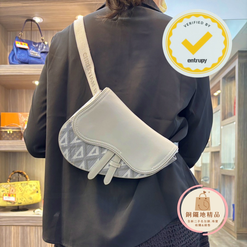 Dior Mini Saddle_W1