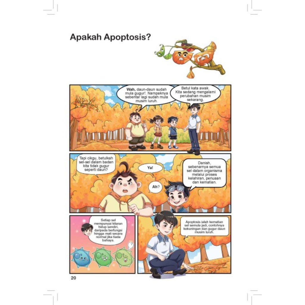 WHITE BACKGROUND (16)